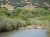 the Salinas River